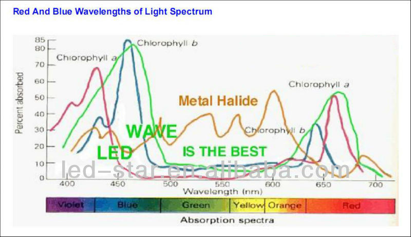 クリー成長の光は,温室効果/水耕システム/成長10トン用の表示LED問屋・仕入れ・卸・卸売り