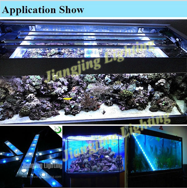 48'' ip68白10000k20000k470nm青色450nmの水族館サンゴ礁がライトを導いた問屋・仕入れ・卸・卸売り