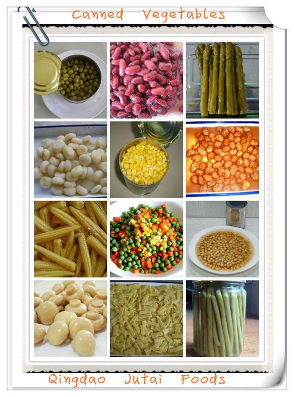 Hot selling canned button mushroom in brine