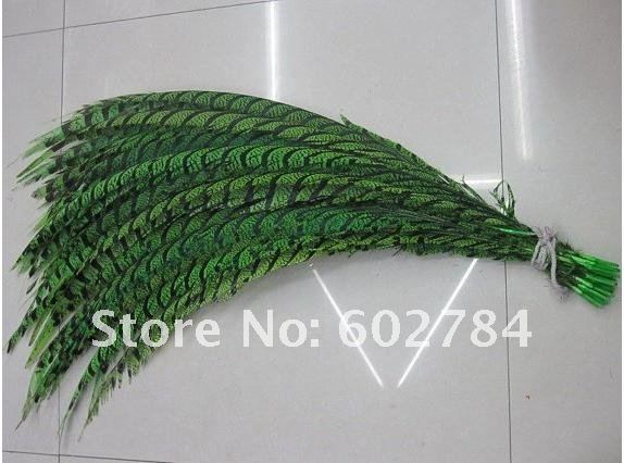 50pcs 30-35inch Dyed Green pheasant tail feather,Lady side tail,Lady amherst side tails,pheasant feather .JPG
