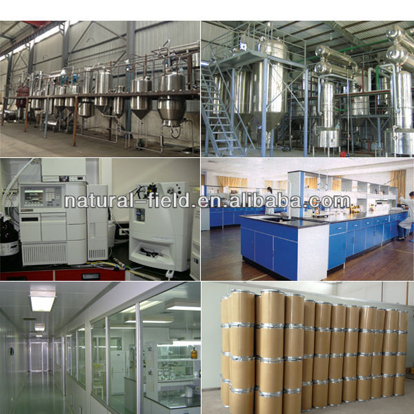 aloe vera leaf extract powder,welcome inquiry!