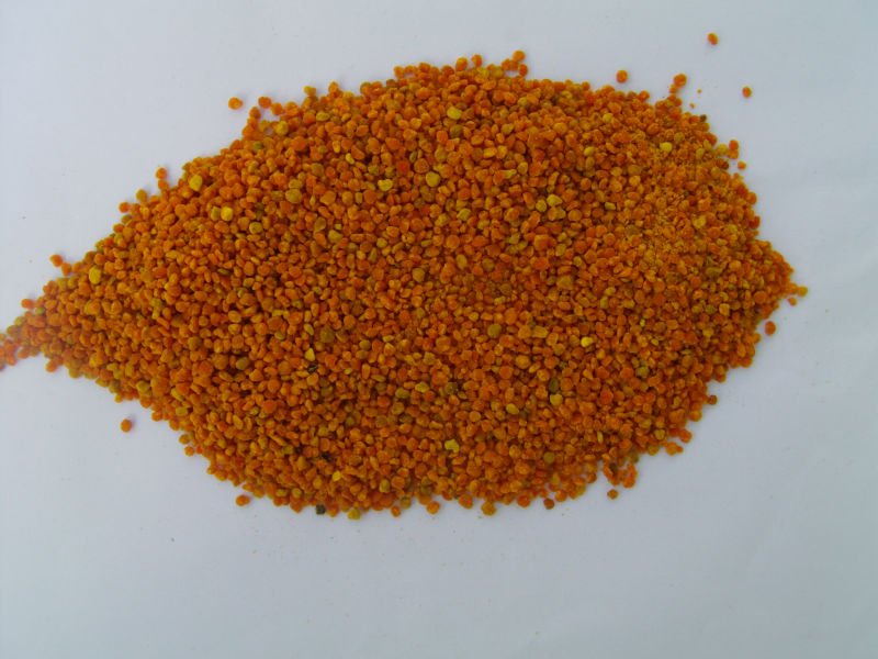 fresh mixed honey bee pollen / flower pollen extract