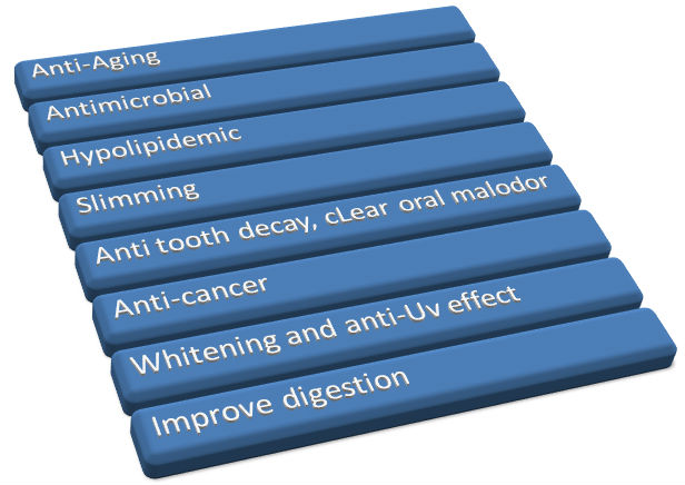 Green gunpowder, best slim organic powder green tea price, gunpowder green tea price
