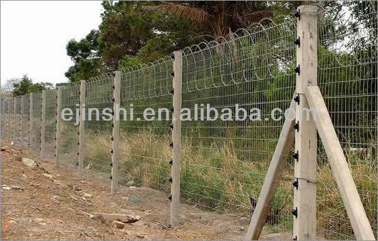 razor-fence03.jpg