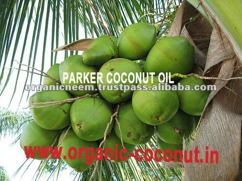 Organic Cold Pressed Virgin Coconut Oil at Lowest Price