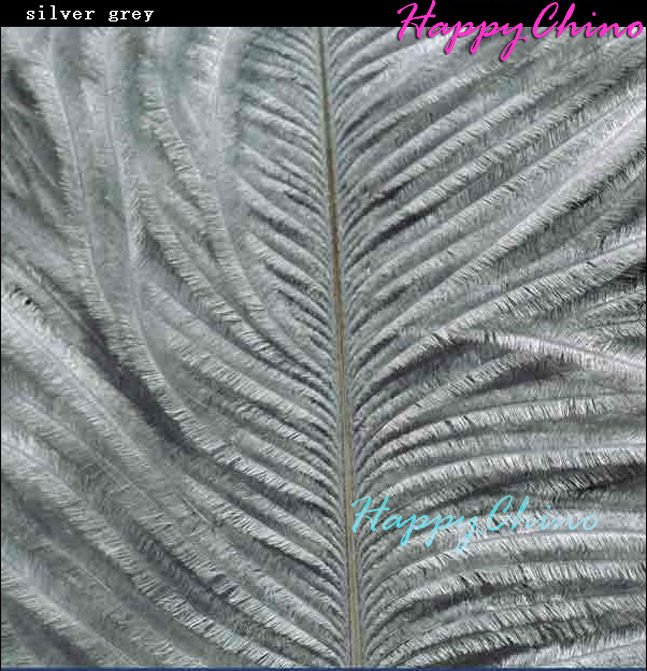 feather silver grey