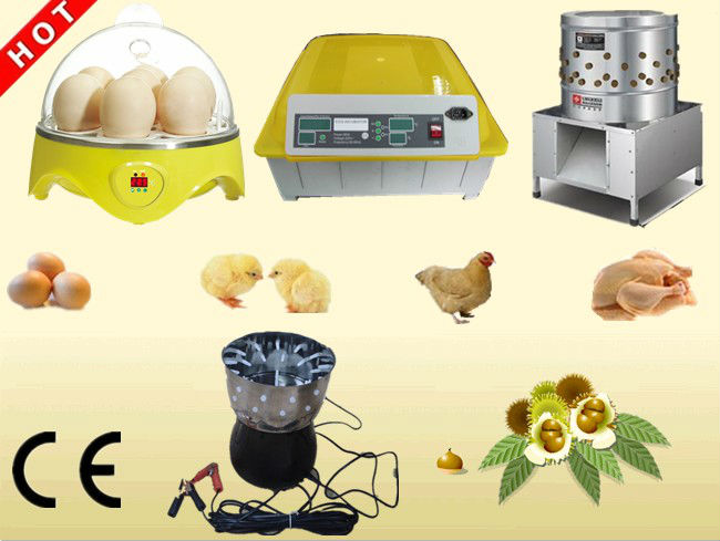 ミニ高孵化率小さな自動鶏卵孵化器装置ew9-7鶏の卵用マシン問屋・仕入れ・卸・卸売り