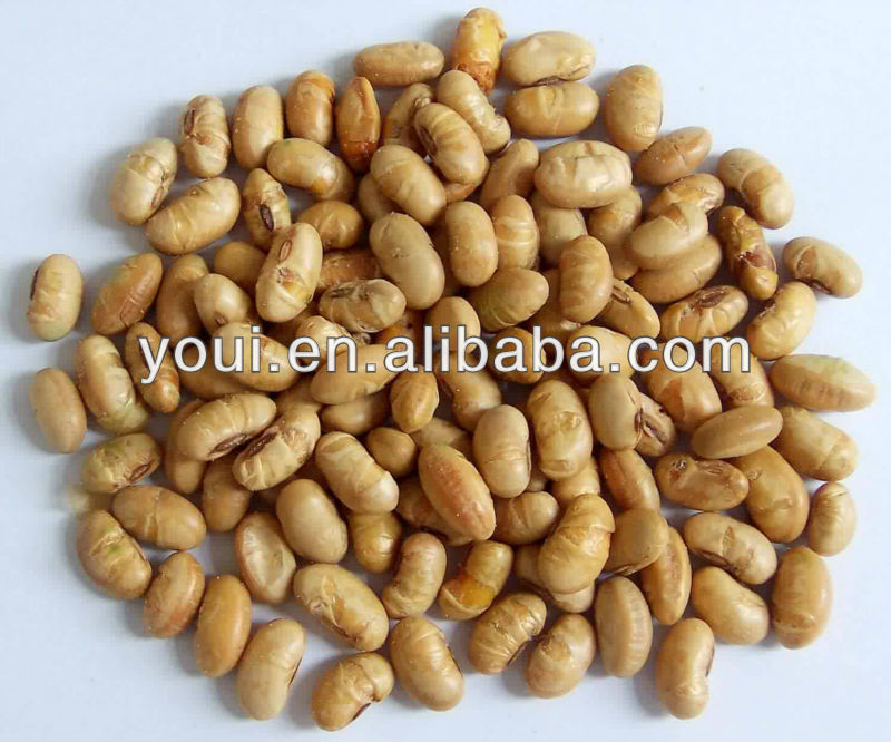 Bulk Soy Beans