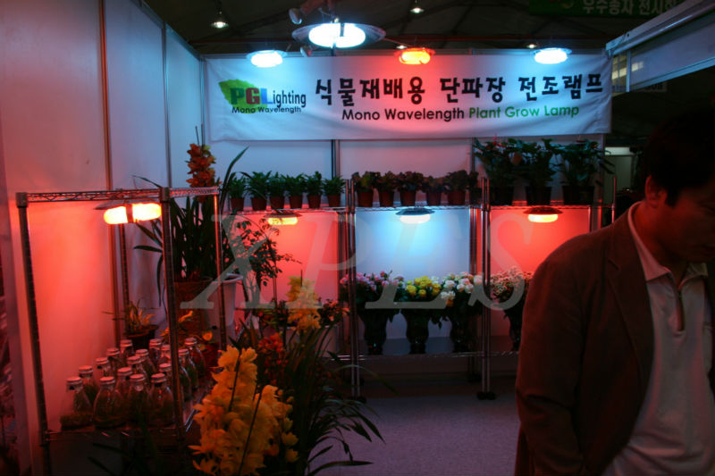 新しい水耕栽培led電球装飾的な植物の花の栽培者用のライトを成長させる問屋・仕入れ・卸・卸売り