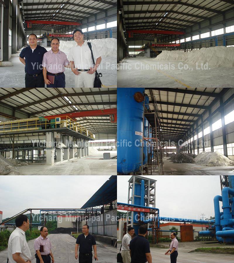buyer08.jpg