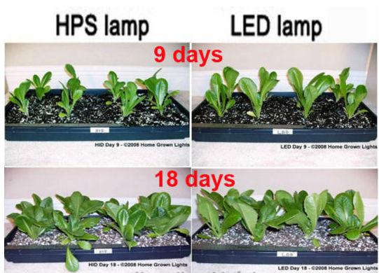 伝搬するカットシステム空中栽培ledランプが成長するのため植物の新しい高品質の器具内部反射問屋・仕入れ・卸・卸売り