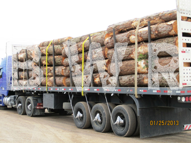 Yellow Pine Logs 2 - BWR - small