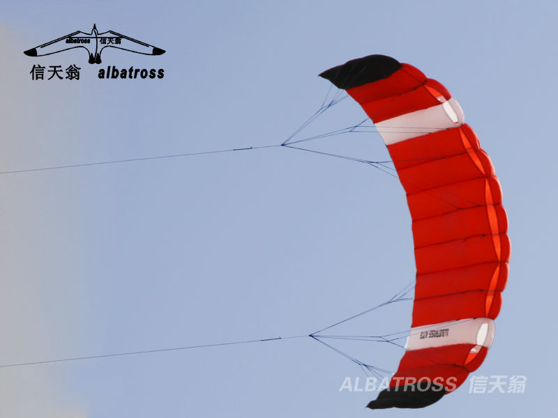 2013 NEW CHINESE 2.6M POWER KITE DUAL LINES TRAINER SURFING/SURF KITE/WHOLESALE PRICE/HOT SALE/FREE SHIPPING問屋・仕入れ・卸・卸売り