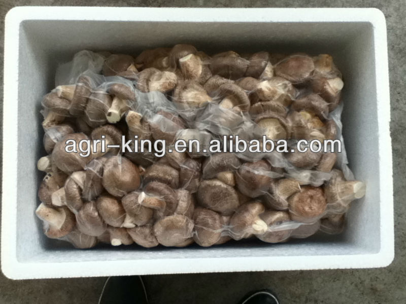 wholesale frozen vegetables mushroom slice