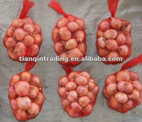 red onion exporter