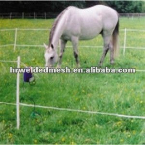 security electric cattle fence