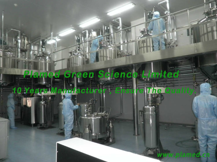 Natural java tea extract powder manufacturers,food supplement java tea extract powder
