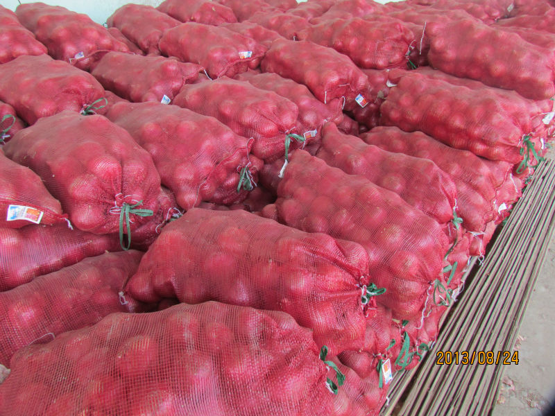 2013 new crop fresh red onion