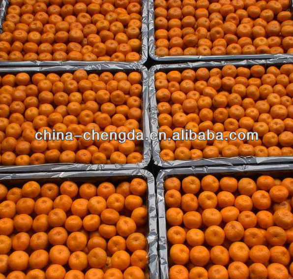 Nanfeng citrus mandarin(3.5-6cm)