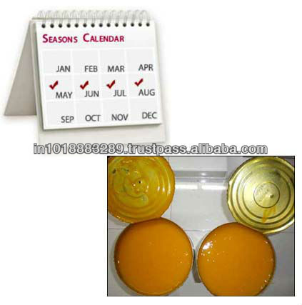 kesar mango pulp factory from talala