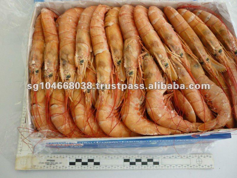 Seafrozen Argentina Red Shrimp Hoso Buy Red Shrimp Hoso,Frozen