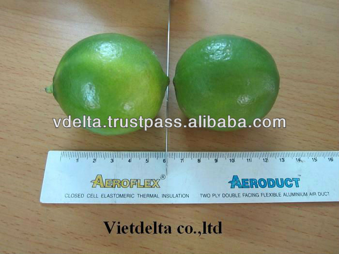Fresh Lemon/ Lime With BEST PRICE 2014