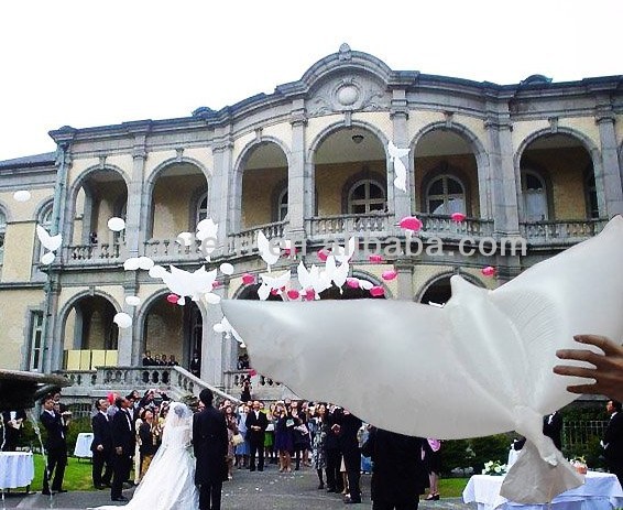 2014 Hot sale pigeon shape white bio dove balloons for wedding decoration