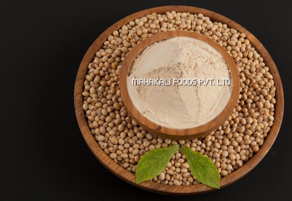 Soya Flour Lightly Toasted