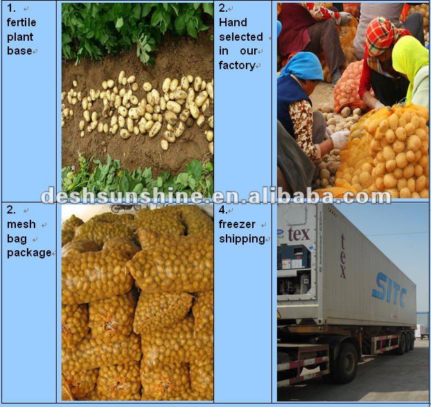 (2012 new)chinese delicious fresh potato