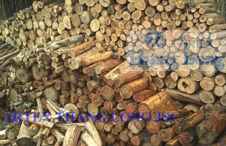 高品質のための針葉樹木炭のバーベキュー( bbq) ・ギセル水タバコ問屋・仕入れ・卸・卸売り