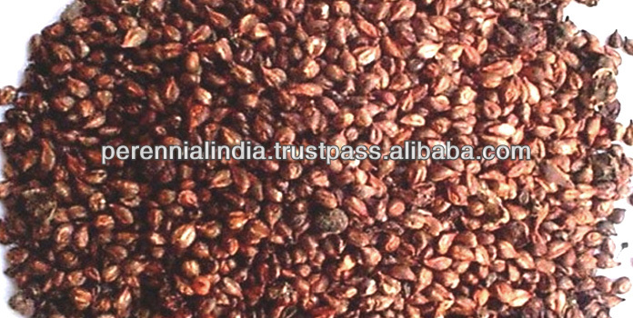 Vitis Vinifera extract, grape seed extract 95%, Proanthocyanidins, OPC
