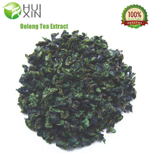 60 Natural Oolong Tea Extract Tea Polyphenols,EGCG,China Huixin price