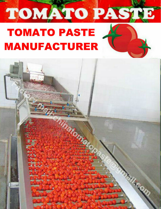Tomato Paste 36-38% Brix CB Aseptic bag in drum
