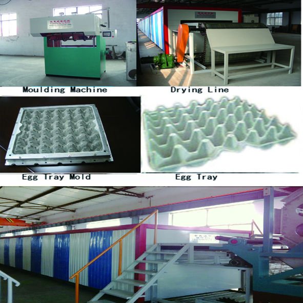 big modle egg trays machine