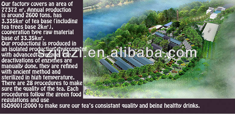 Raw Puer green tea brand names