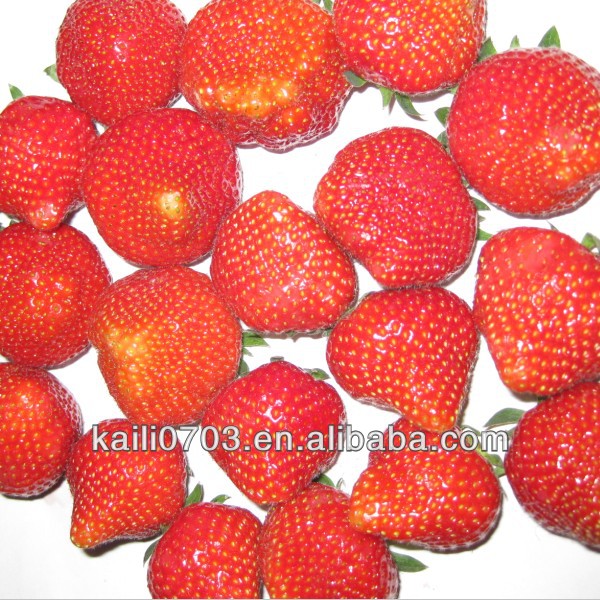 2013 high quality bulk fresh strawberry and hot sale frozen strawberry