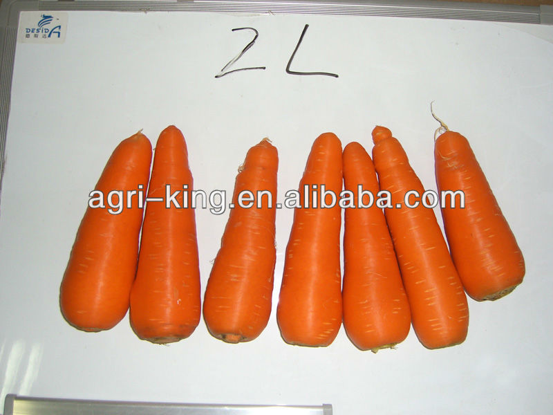 Fresh red carrot new havested in 2013