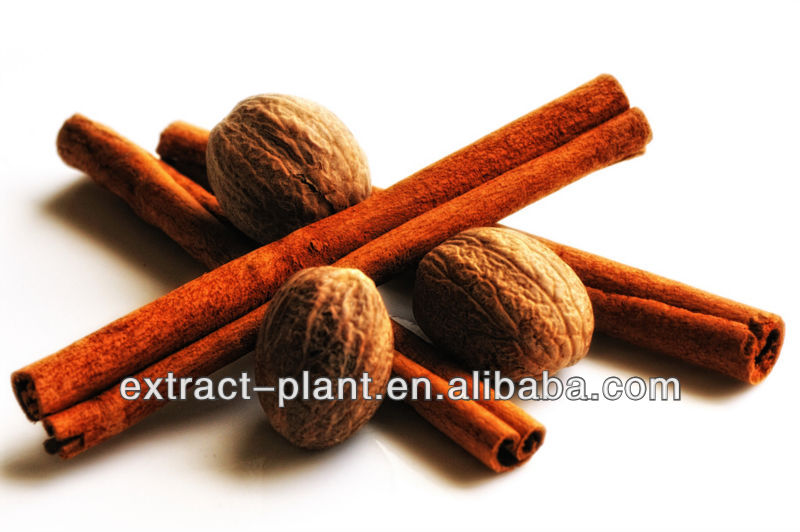 Cinnamon Extract/Cassia Bark Powder in hot sale