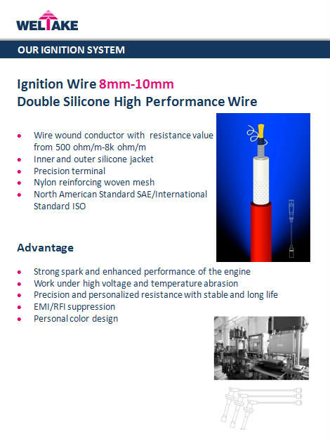 our ignition system 3.jpg