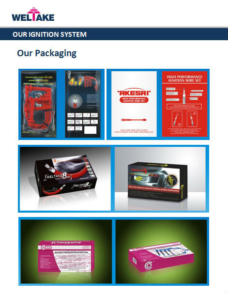 our ignition system 7.jpg