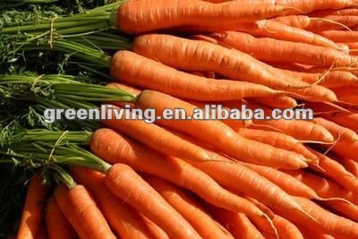 2012 fresh red carrot size --depend on your need
