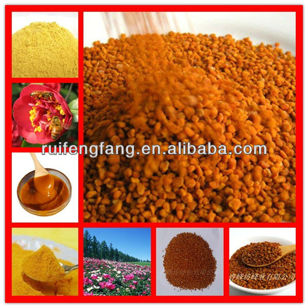 Wholesale corn bee pollen for male prostate health