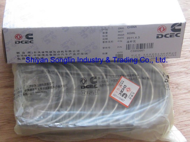 C3950661.jpg