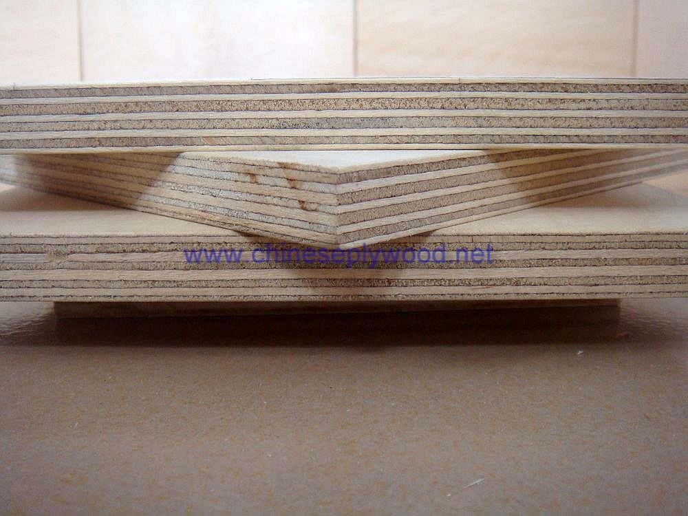 buy basswood