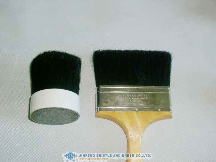 cut root pig bristles used for shoe brush and hair brush