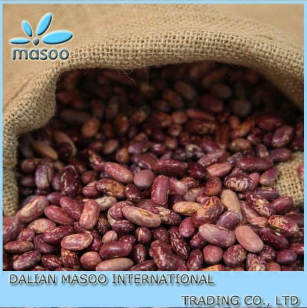 2013 new crop China Inner Mongolia purple PSKB - Purple speckled kidney bean