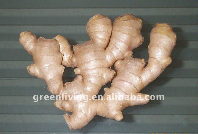 old ginger in anqiu of China