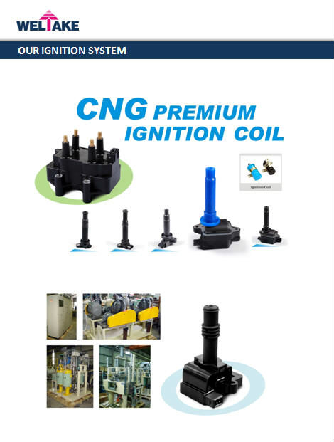 our ignition system 6.jpg
