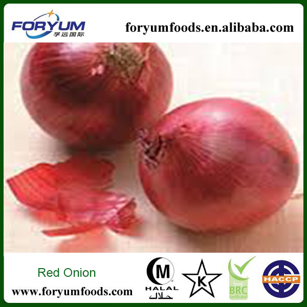 Fresh Red Onion Price