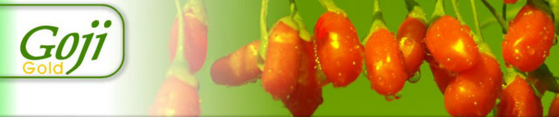 2014 new crop ningxia goji berry